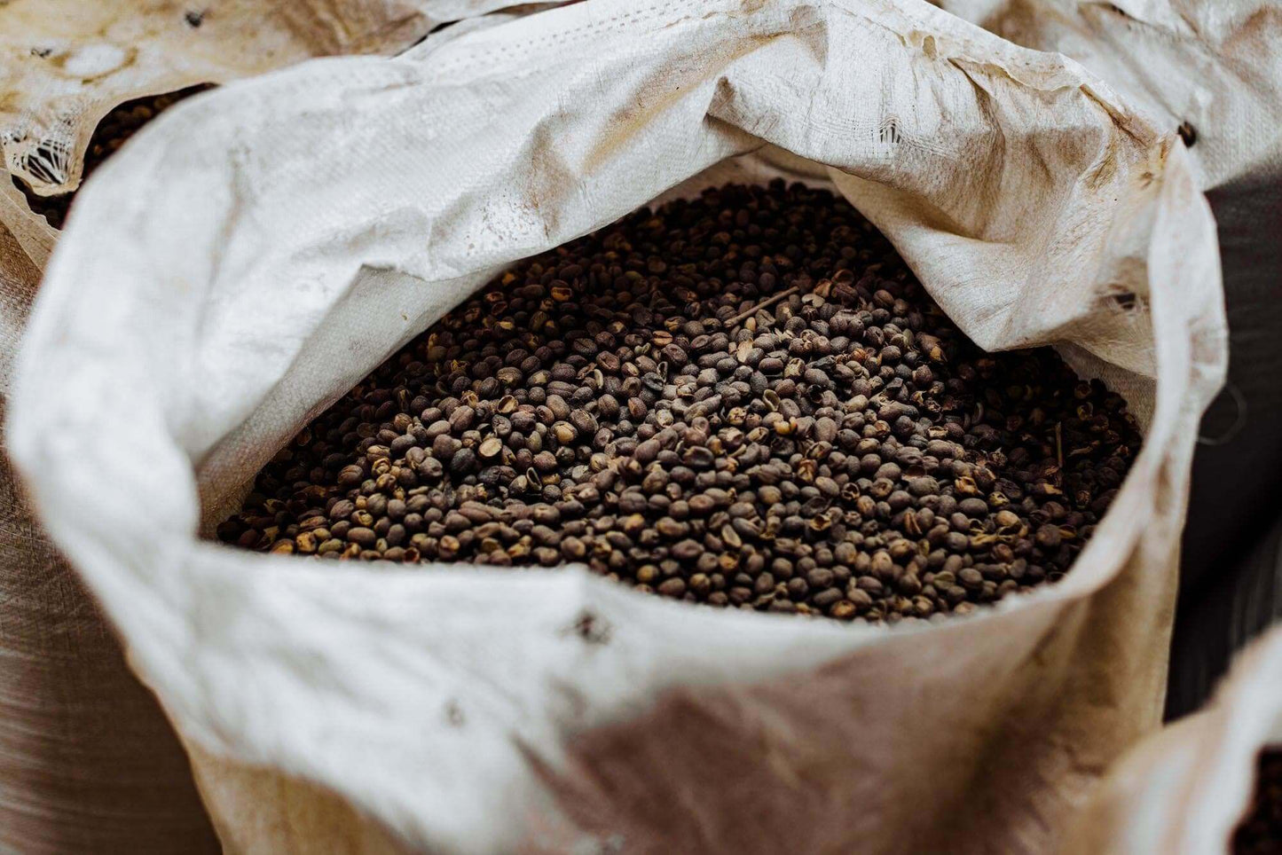Kiss Of Life | El Salvador | 500g - Kaffeekirschen - June And July Filterkaffee
