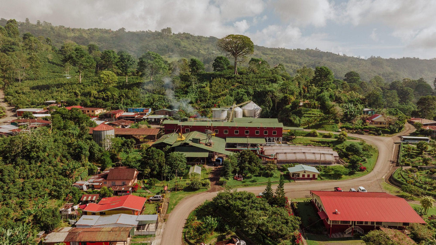 Smooth Operator | Costa Rica - June And July