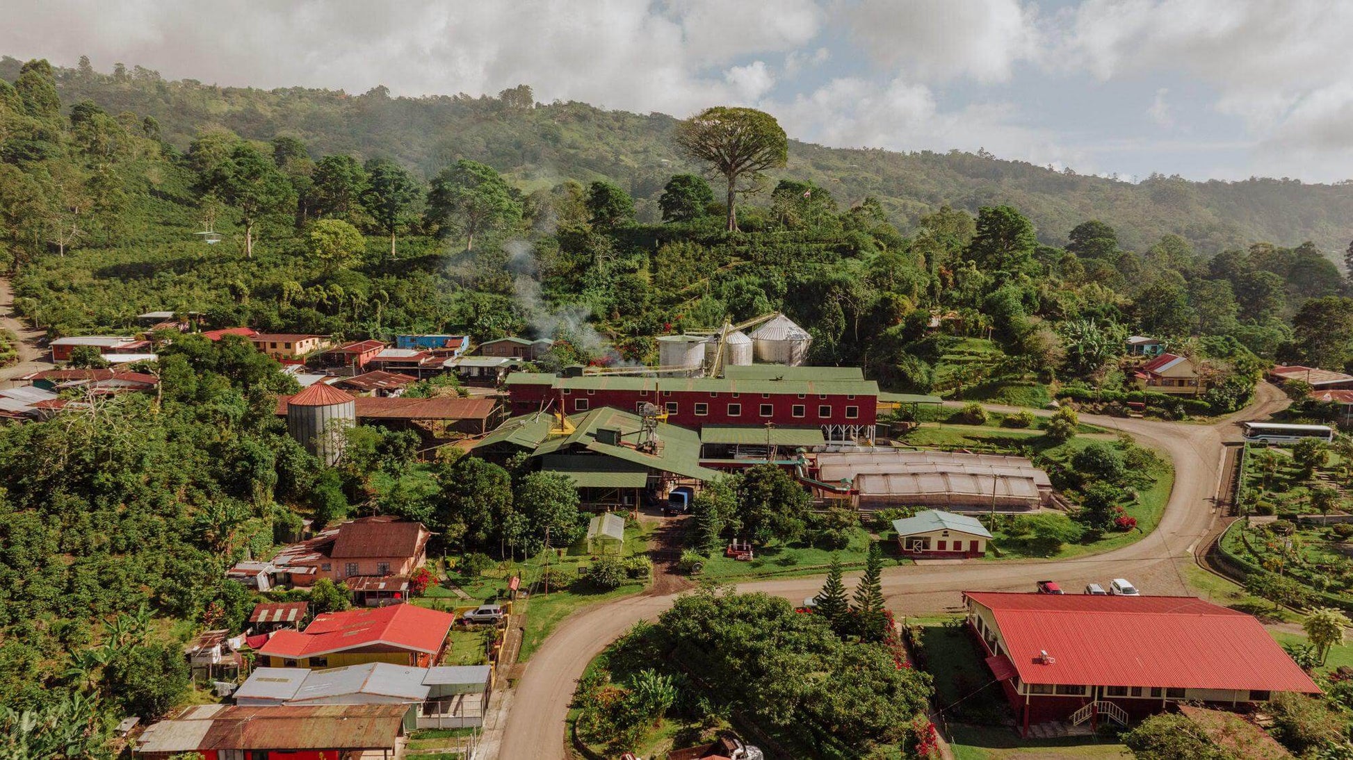 Smooth Operator | El Salvador | Kaffeefarm - June And July